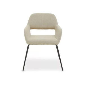 Dining Chairs Set of 2 Home Modern Bedroom